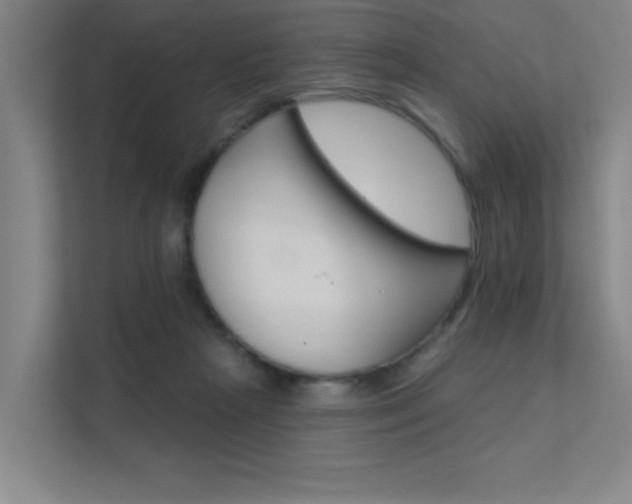 X0000112380265200908131329