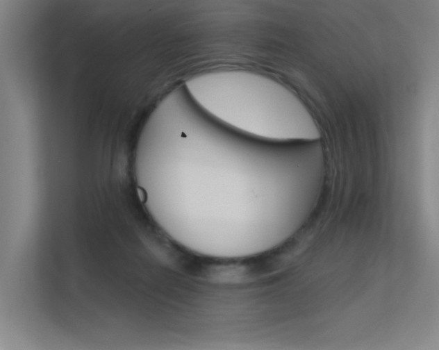 X0000112380266200908131329