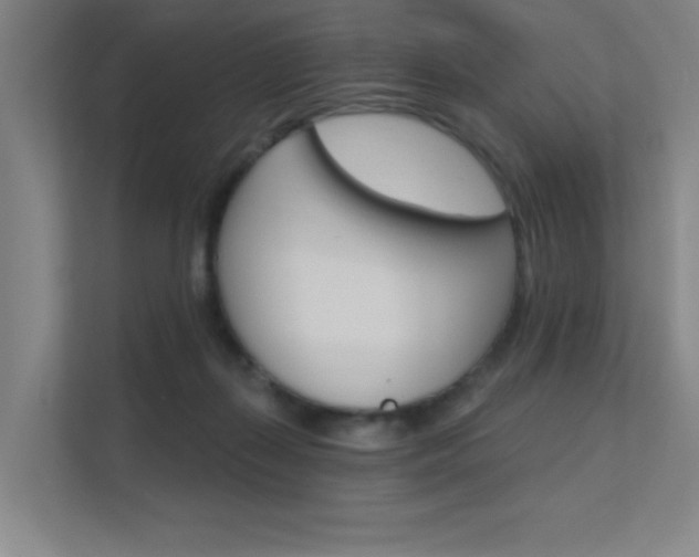 X0000112380267200908131330