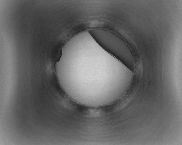 X0000112380272200908131330