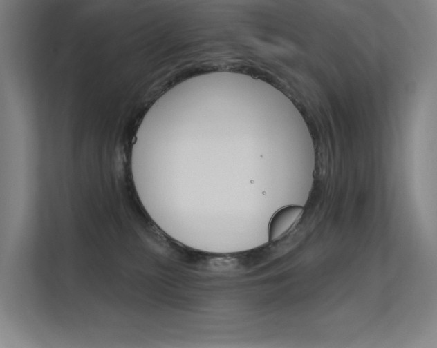 X0000112380279200908131330