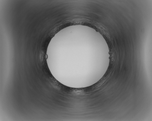 X0000112380283200908131330