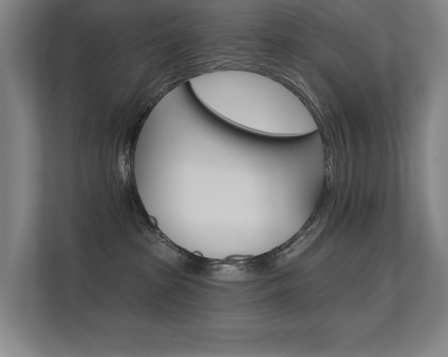 X0000112380285200908131330