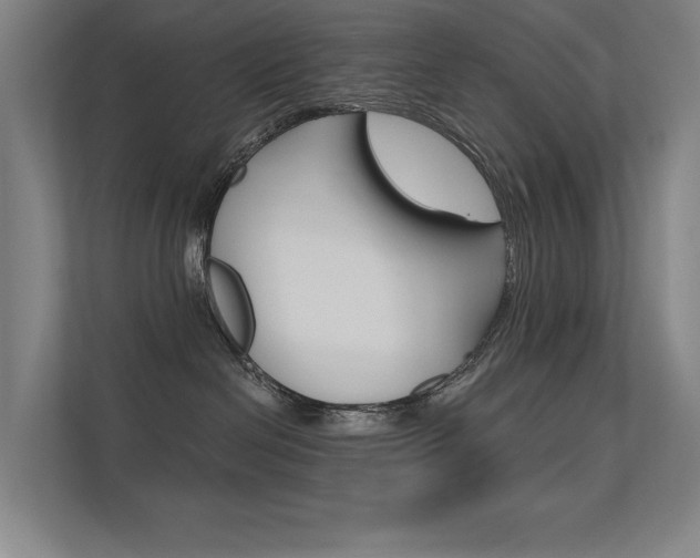 X0000112380286200908131330