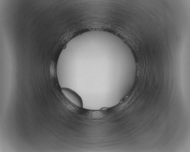 X0000112380287200908131330