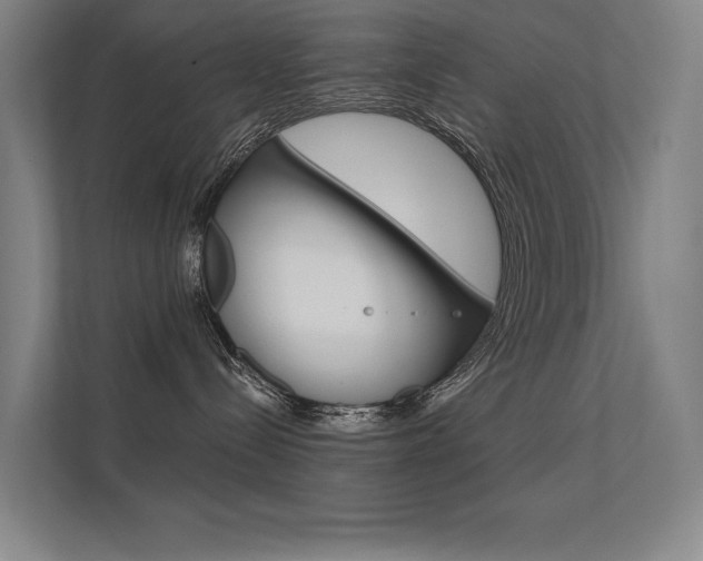 X0000112380288200908131330