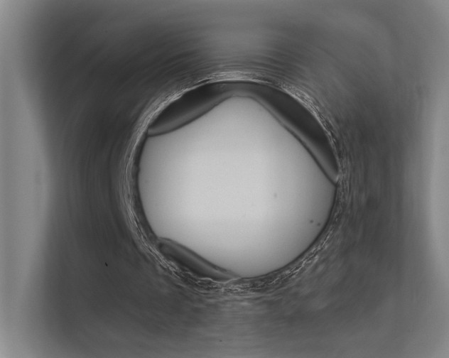 X0000112380289200908131329