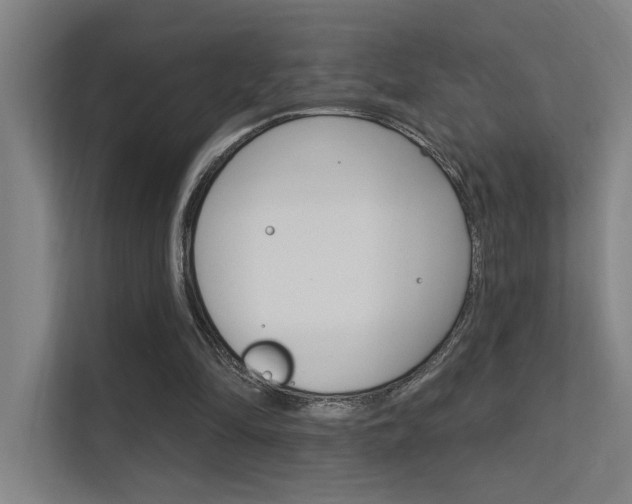 X0000112380294200908131329