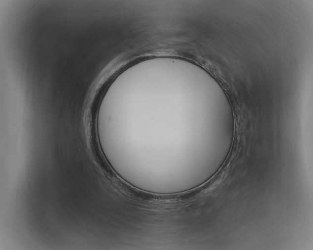 X0000112380295200908131329