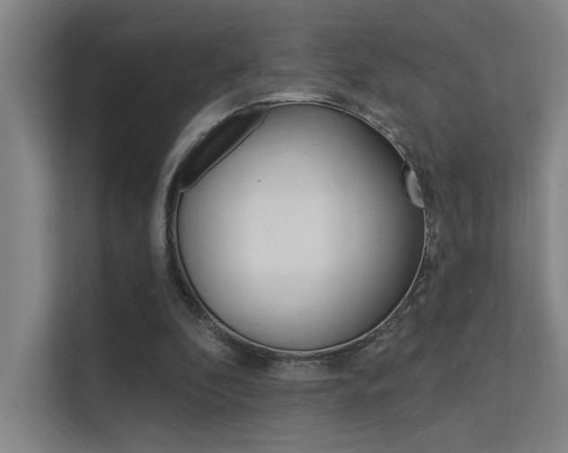 X0000112380296200908131329