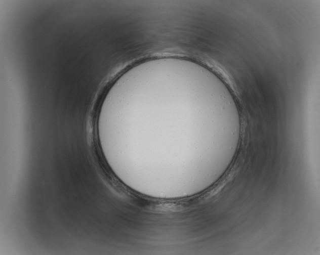 X0000112380298200908131329