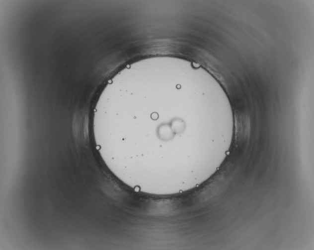 X0000112380301200908131329