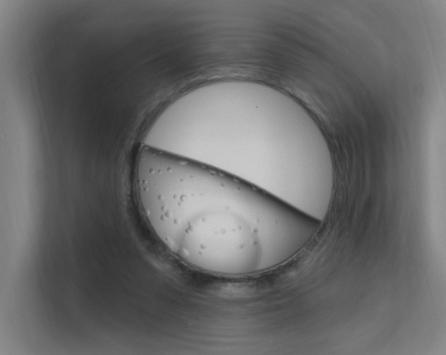 X0000112380303200908131329