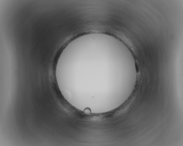 X0000112380306200908131329