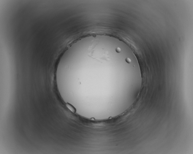 X0000112380309200908131329