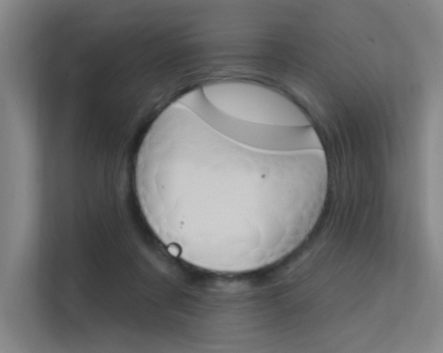 X0000112380311200908131329