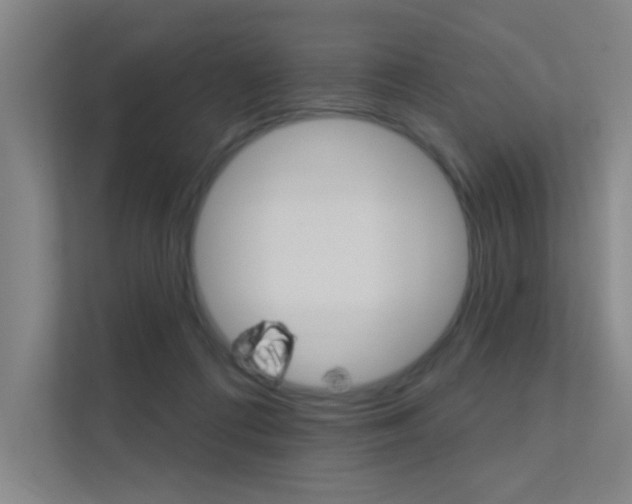 X0000112380312200908131329