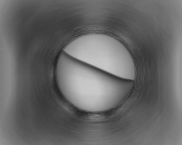 X0000112380315200908131329