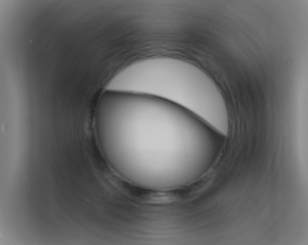 X0000112380316200908131329