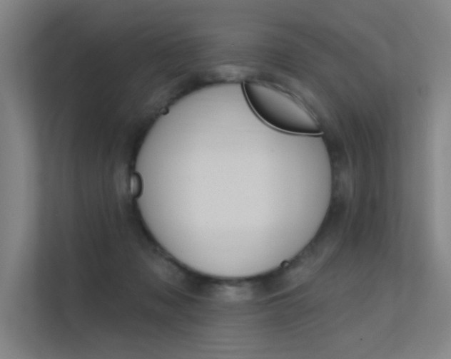 X0000112380317200908131329