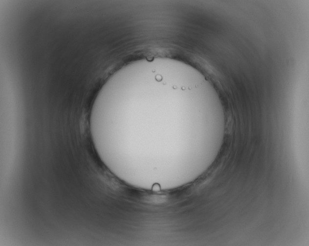 X0000112380318200908131329