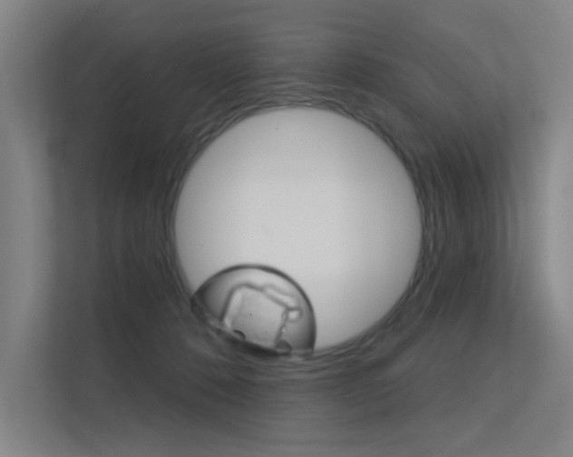 X0000112380320200908131329