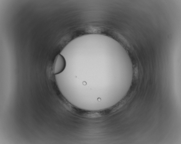 X0000112380322200908131329