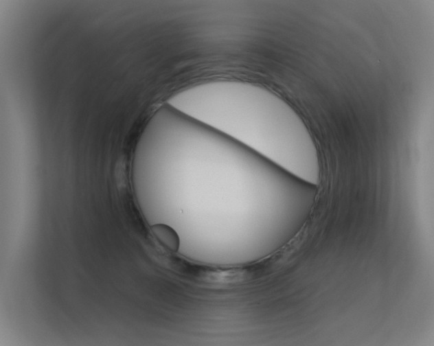 X0000112380323200908131329