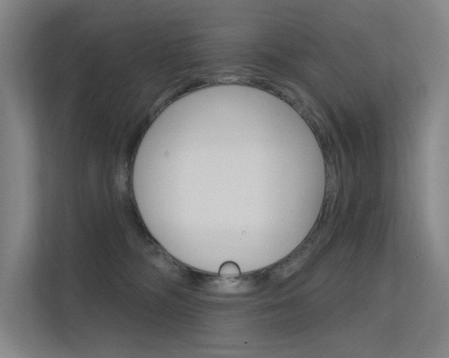 X0000112380326200908131329