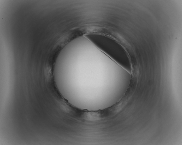 X0000112380327200908131329