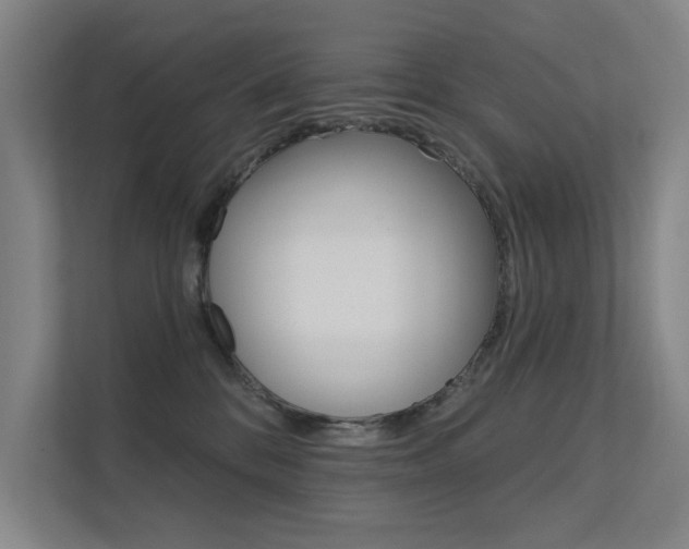 X0000112380328200908131329