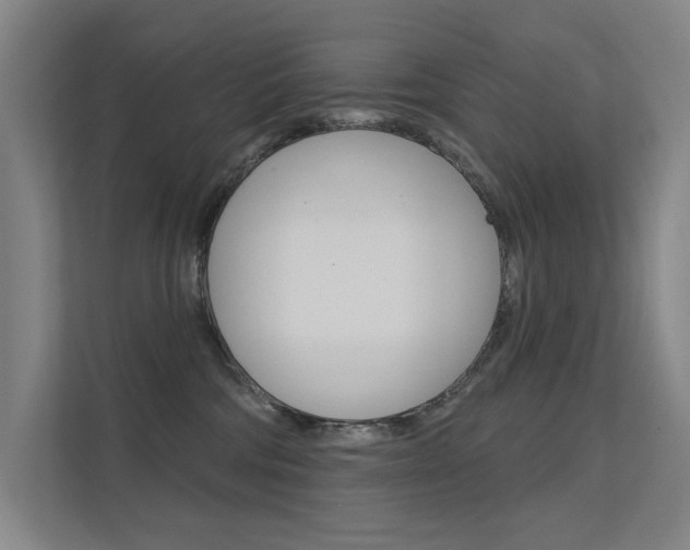 X0000112380330200908131329