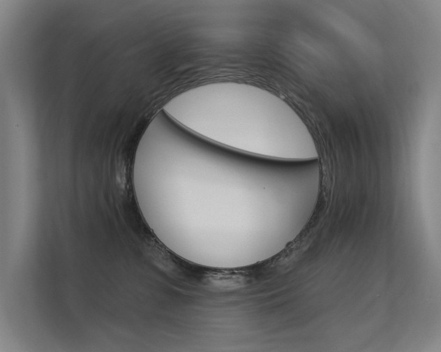 X0000112380331200908131329