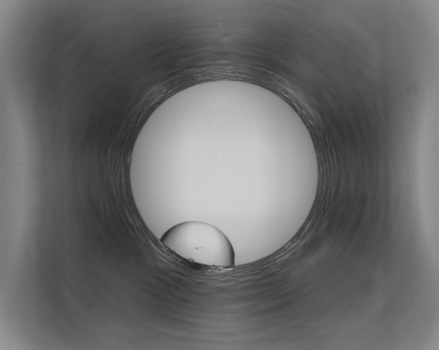 X0000112380333200908131329