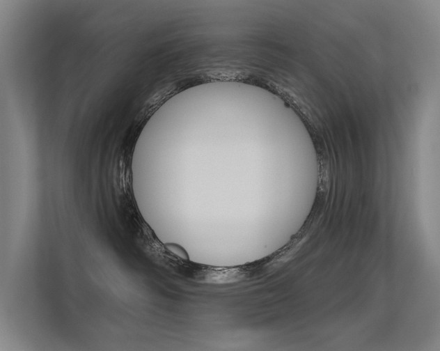 X0000112380334200908131329