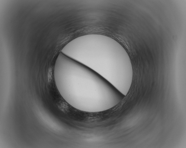 X0000112380335200908131329