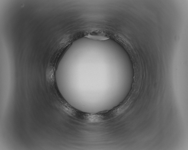 X0000112380336200908131329