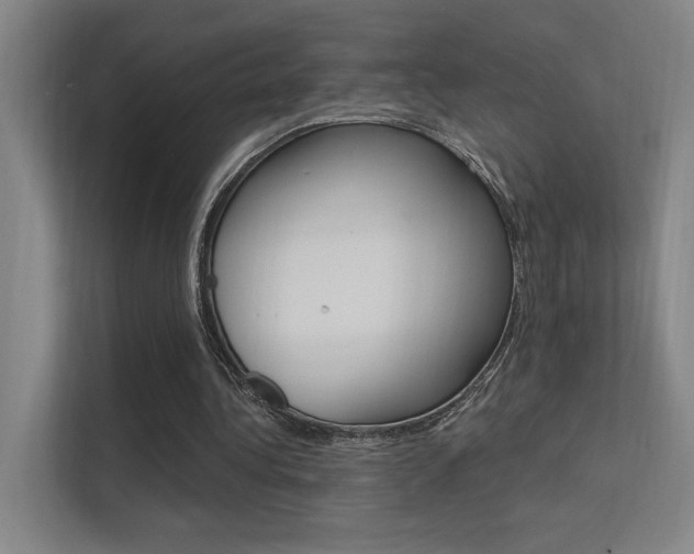 X0000112380340200908131328