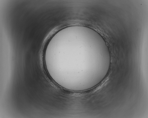 X0000112380341200908131328