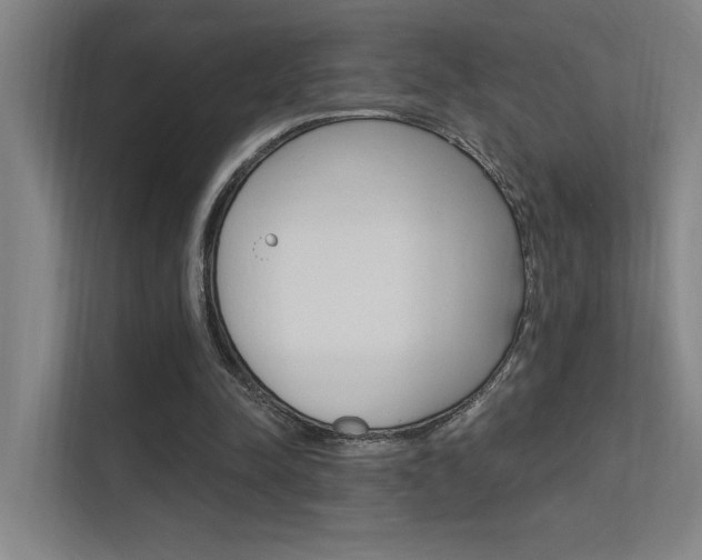 X0000112380342200908131328