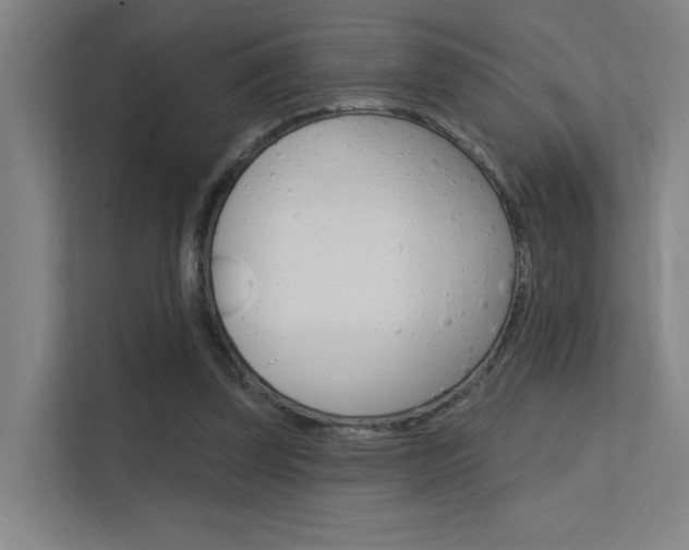 X0000112380347200908131328