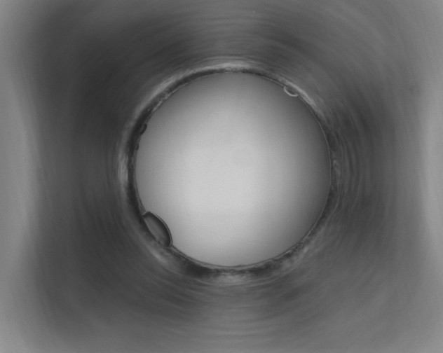 X0000112380350200908131328