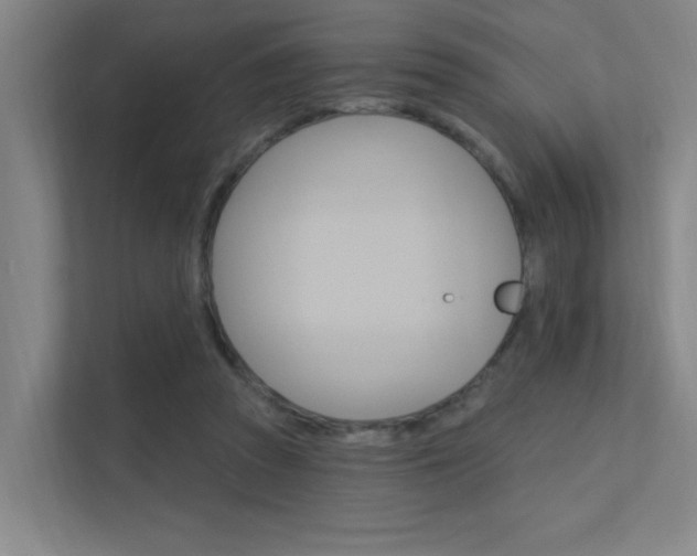 X0000112380353200908131328