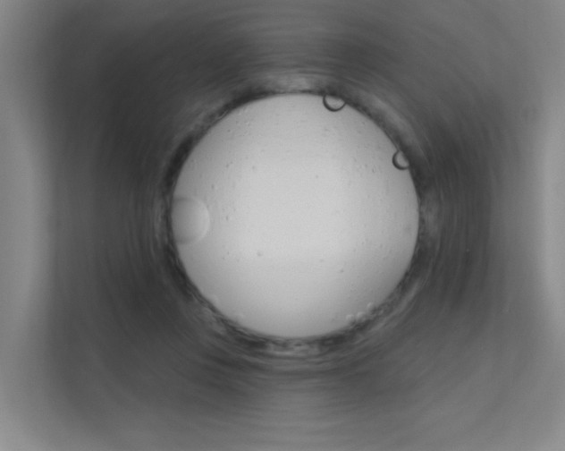 X0000112380359200908131328