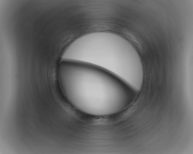 X0000112380362200908131328