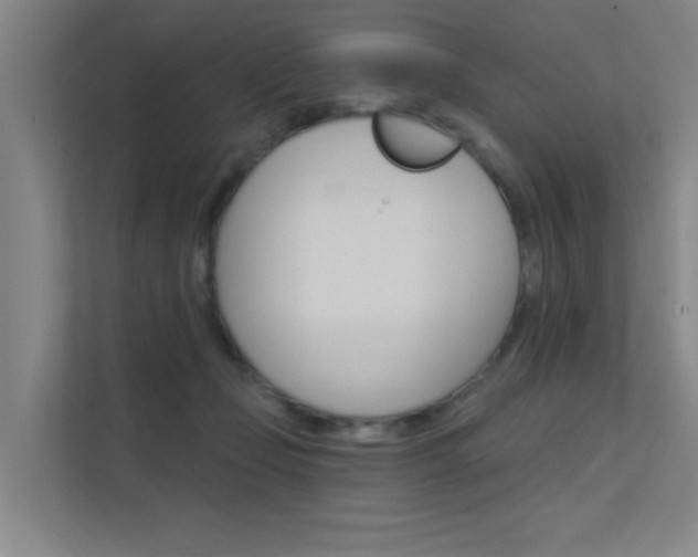 X0000112380365200908131328