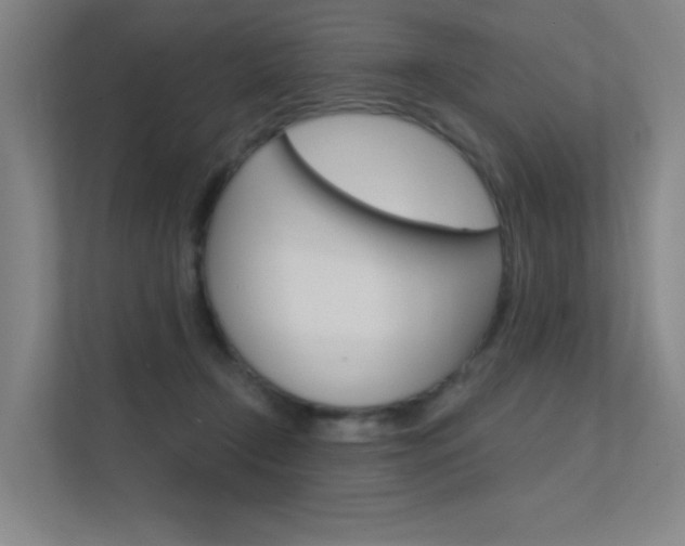 X0000112380366200908131328