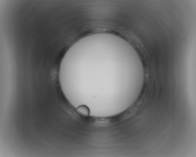 X0000112380369200908131328