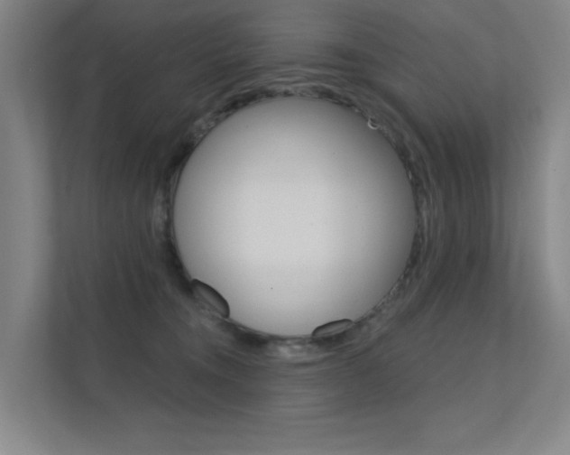 X0000112380372200908131328