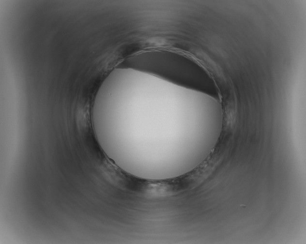 X0000112380376200908131328